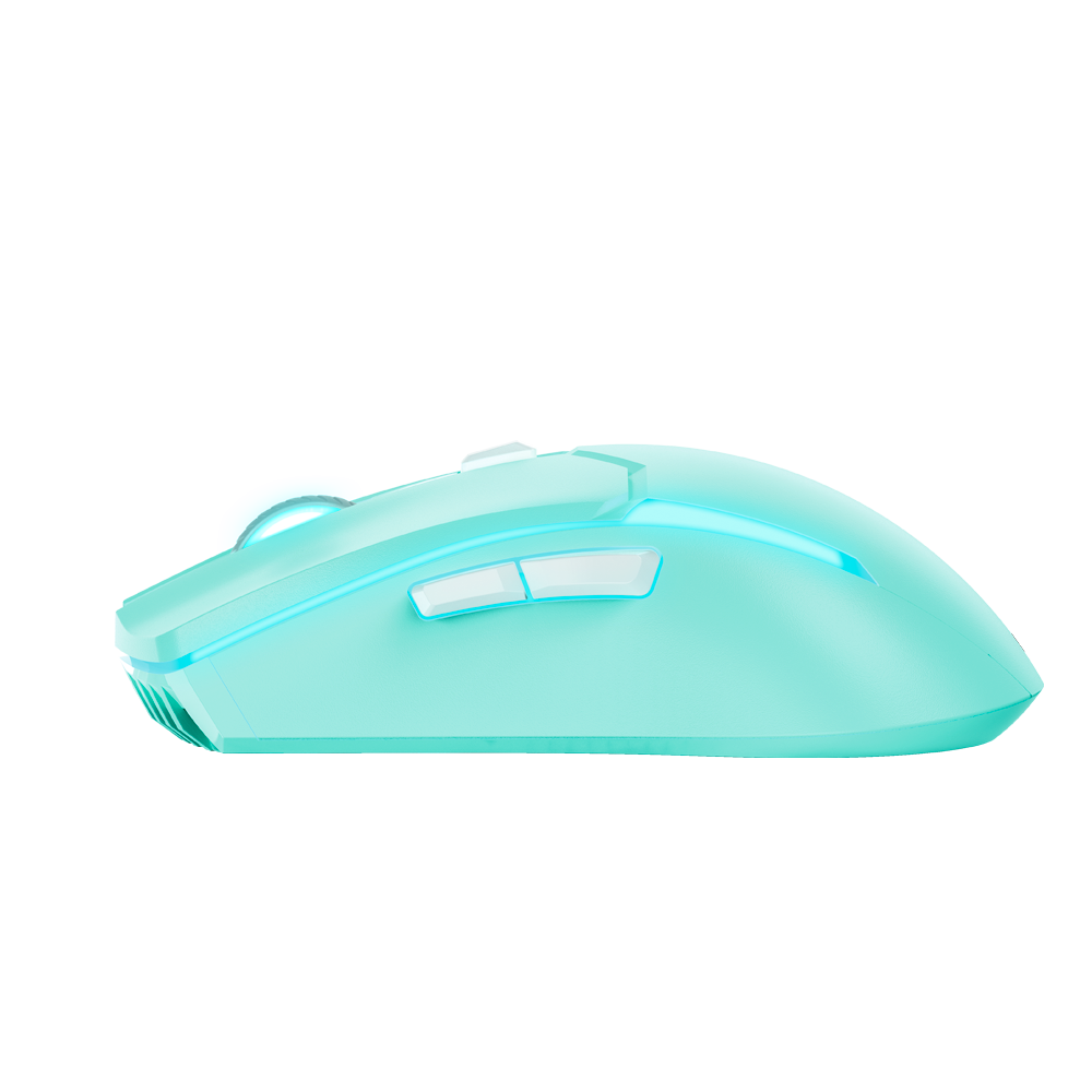 wireless computer mouse, computer mouse wireless, light mouse, gaming mouse, Mint wireless mouse, Ergonomic Gaming Mouse