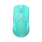 wireless computer mouse, computer mouse wireless, light mouse, gaming mouse, Mint wireless mouse, Ergonomic Gaming Mouse